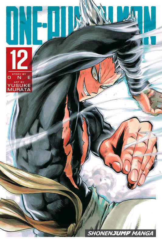 One Punch Man Graphic Novel Volume 12